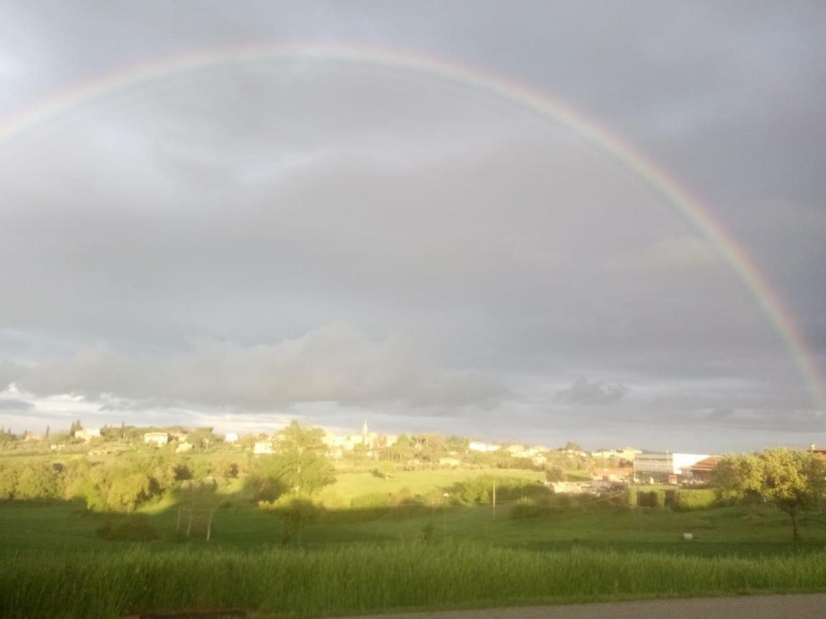 Agriturismo Colle Al Sole Castiglione del Lago Exterior foto