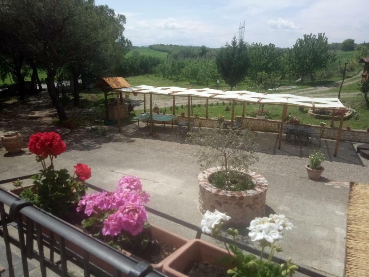 Agriturismo Colle Al Sole Castiglione del Lago Exterior foto