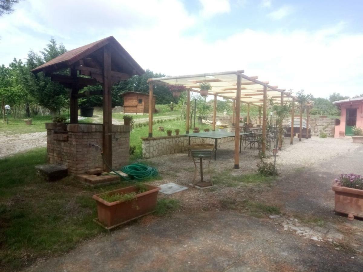 Agriturismo Colle Al Sole Castiglione del Lago Exterior foto