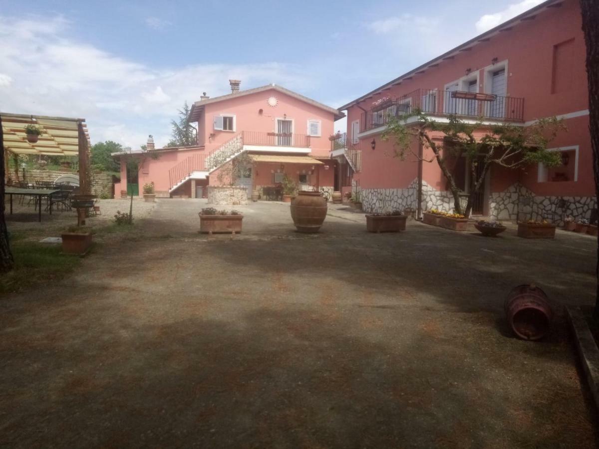 Agriturismo Colle Al Sole Castiglione del Lago Exterior foto