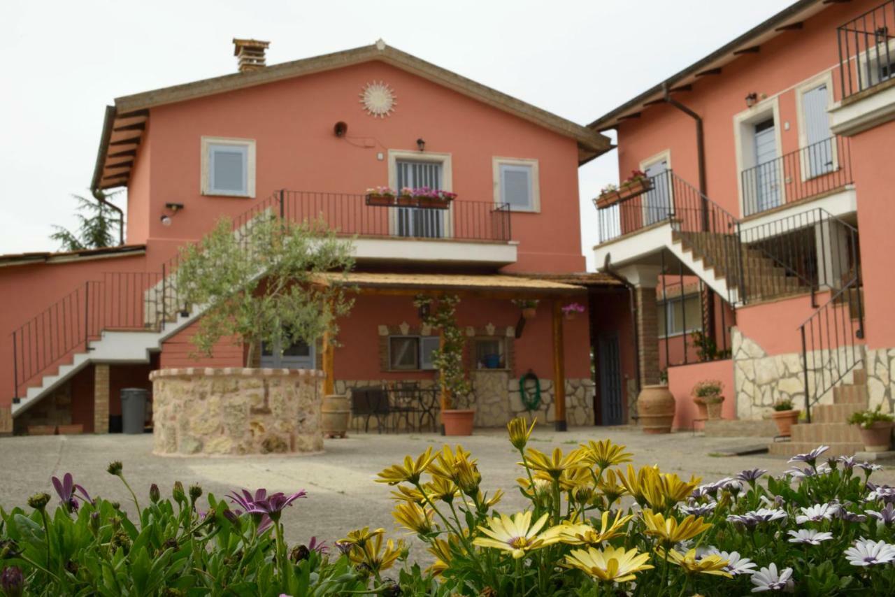 Agriturismo Colle Al Sole Castiglione del Lago Exterior foto