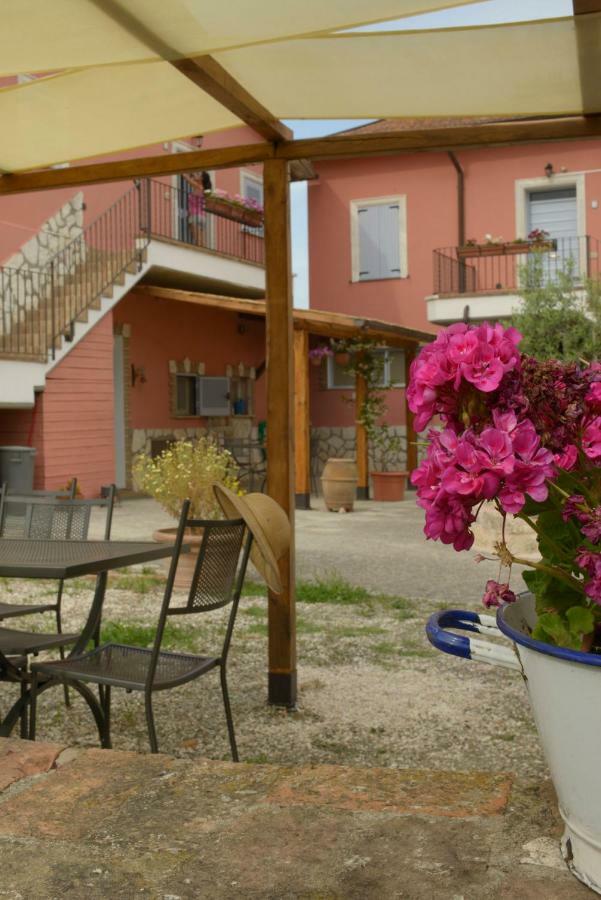 Agriturismo Colle Al Sole Castiglione del Lago Exterior foto